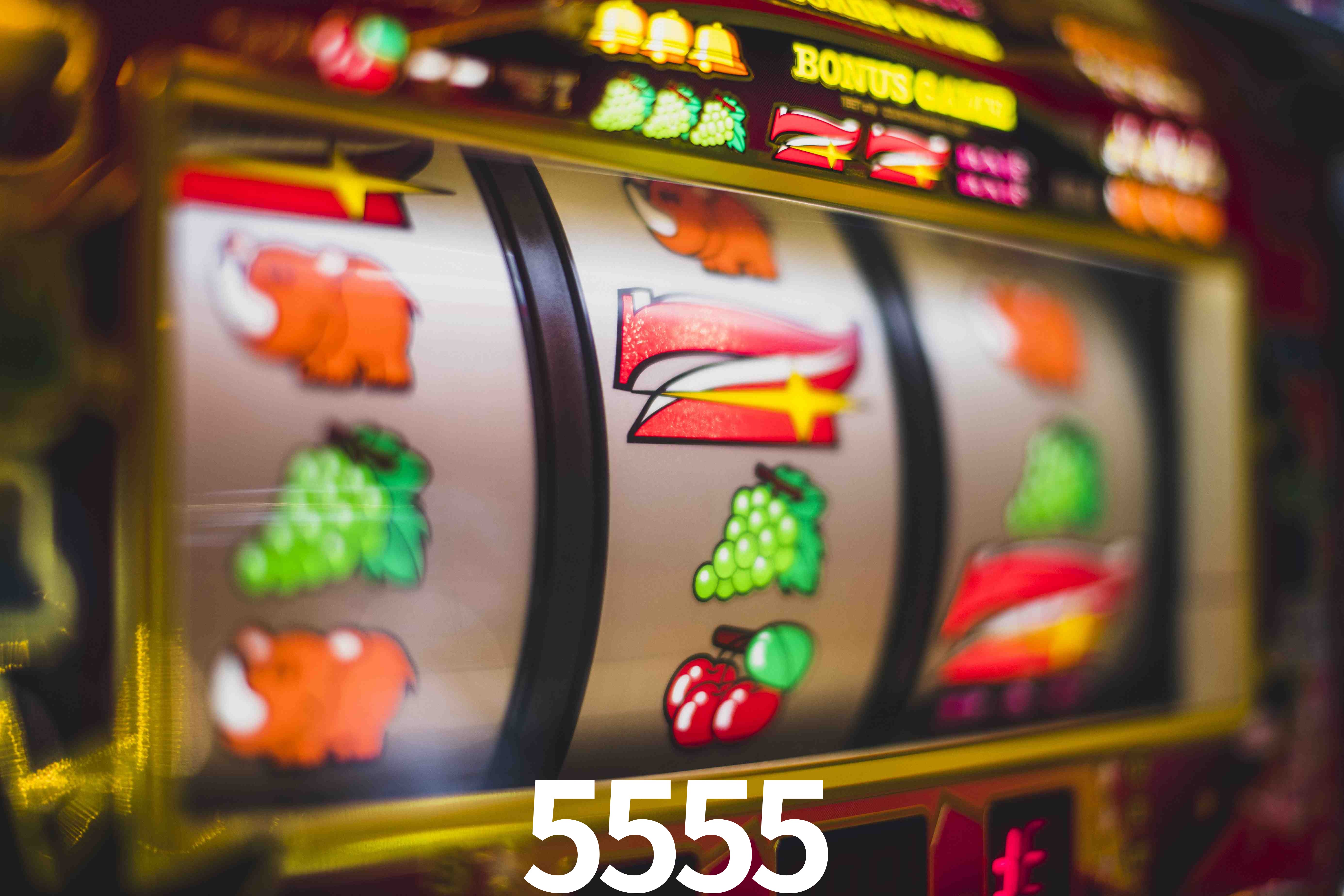 VIP Casino 5555